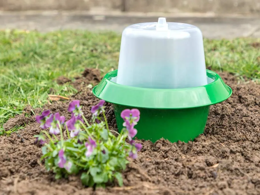 Abdeck-/Wachstums-Haube für den „SchneckenStopp“ Schneckenkragen – Bild 2