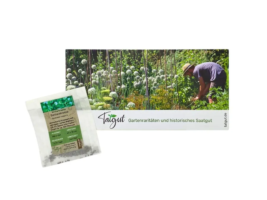 Winterkresse, Barbarakresse. Einzeltüte mit samenfesten Kressesamen – Bild 2