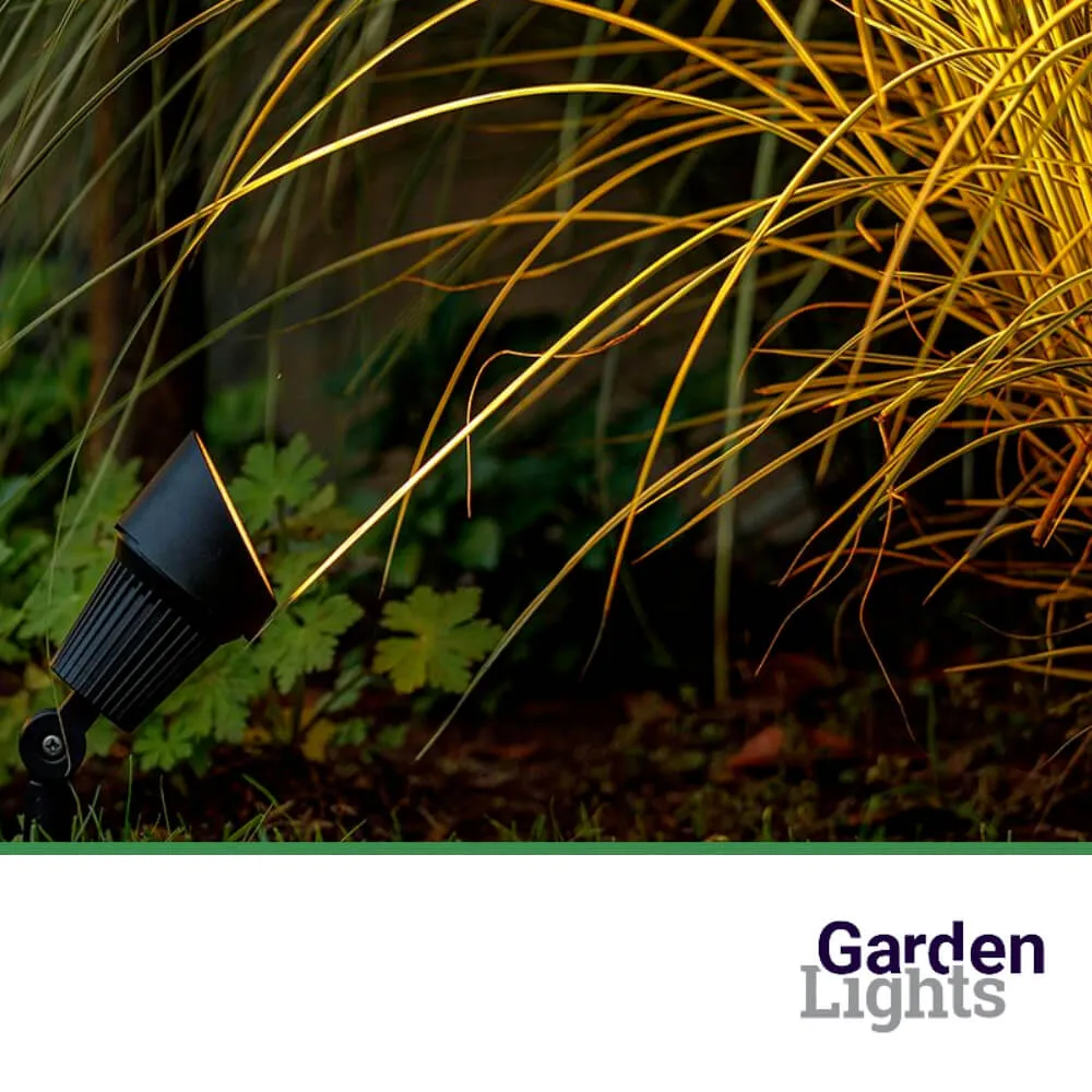 Focus Plus – Bild 2