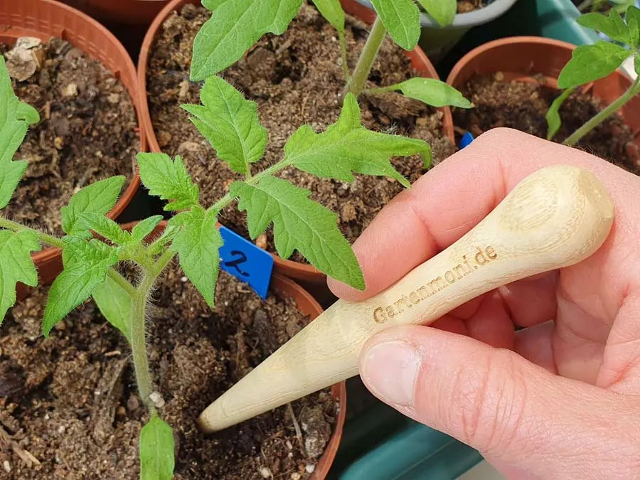 Anzuchthelfer-Set S, 3-teilig – Bild 3