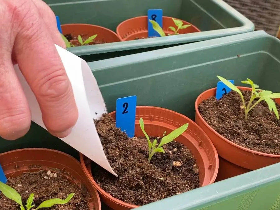 Pflanzschaufel / Pflanzhilfe zum Ansäen, Anhäufeln und Umtopfen – Bild 3