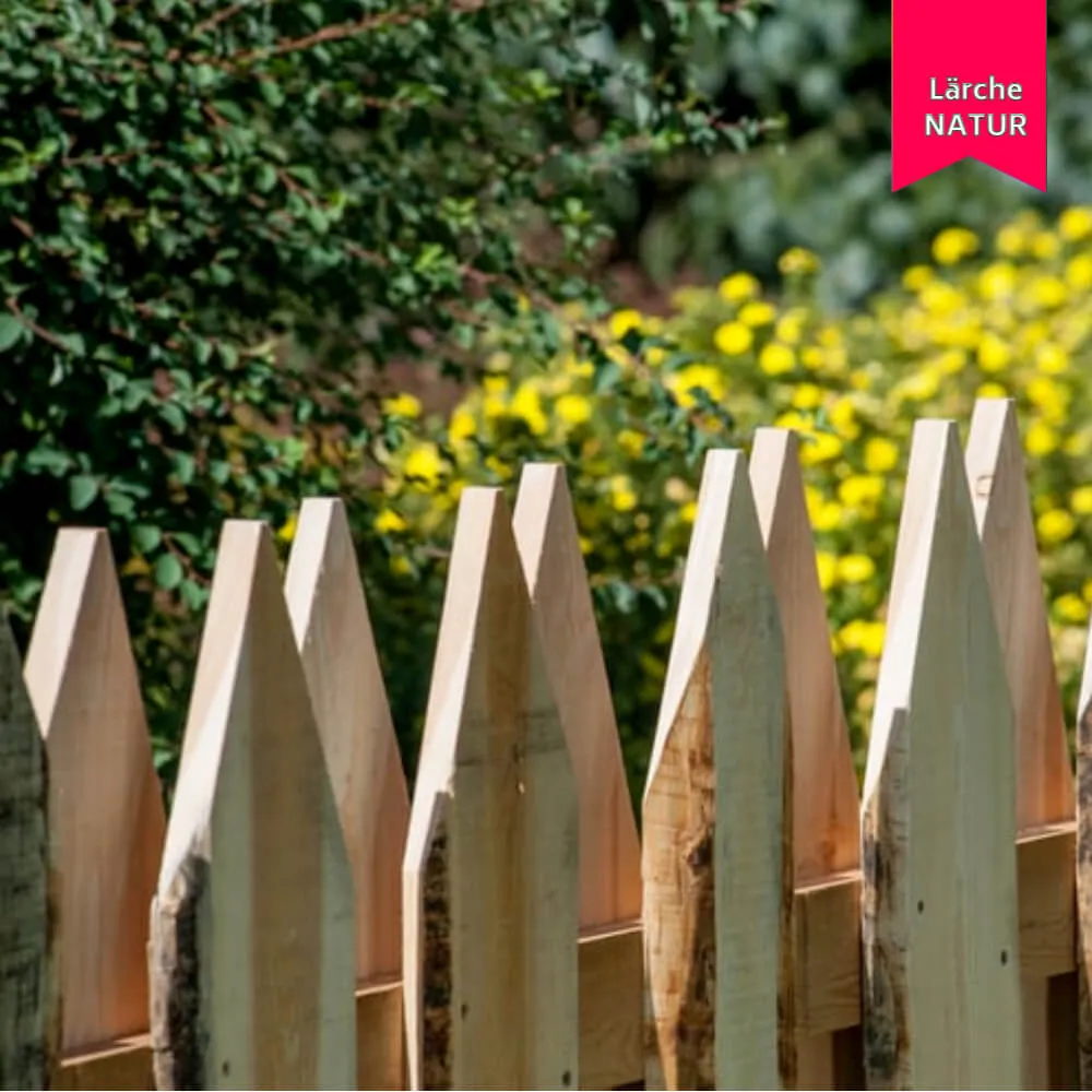 Schwartenzaun Country mit Spitze, Hochgebirgslärche – Bild 8