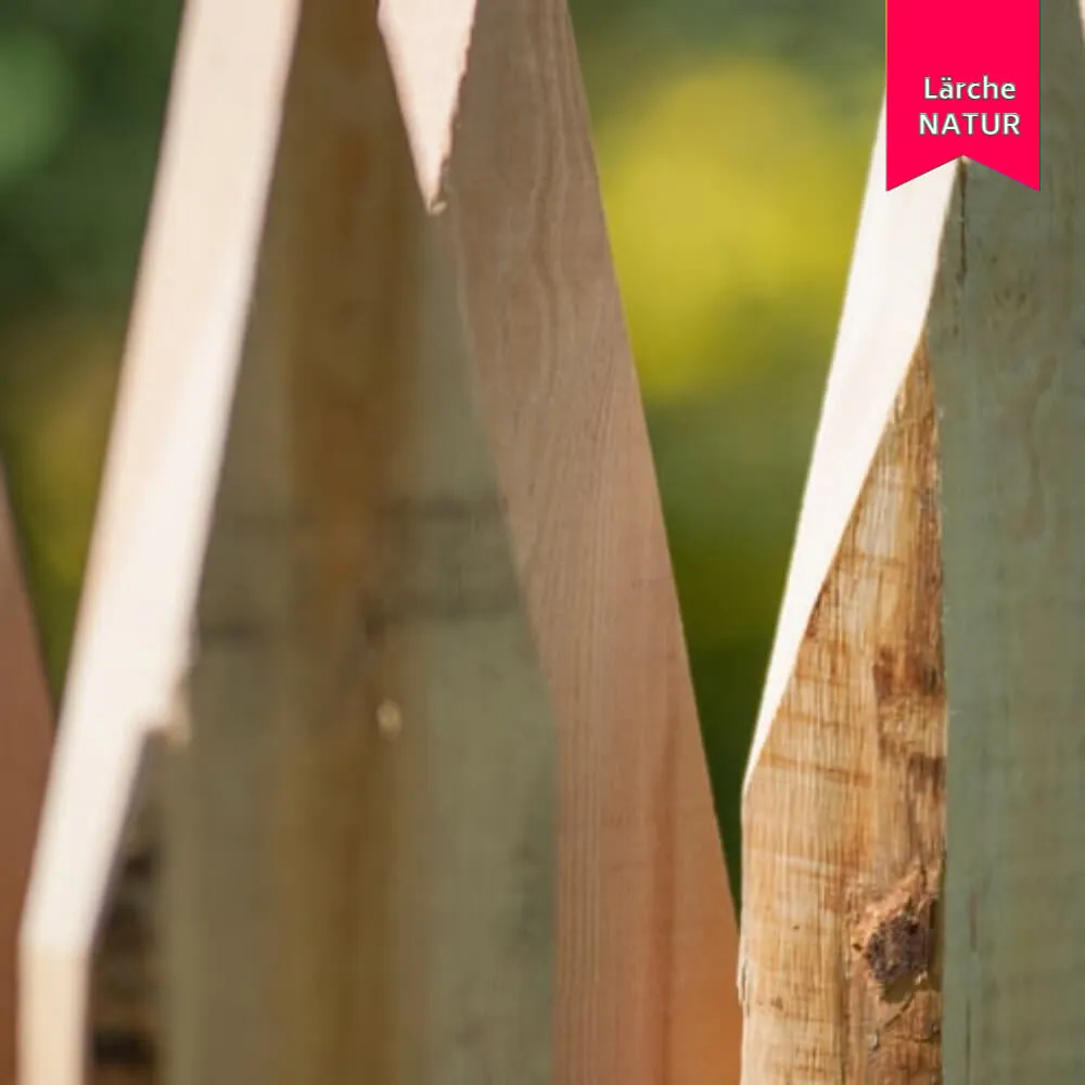 Schwartenzaun Country mit Spitze, Hochgebirgslärche – Bild 7