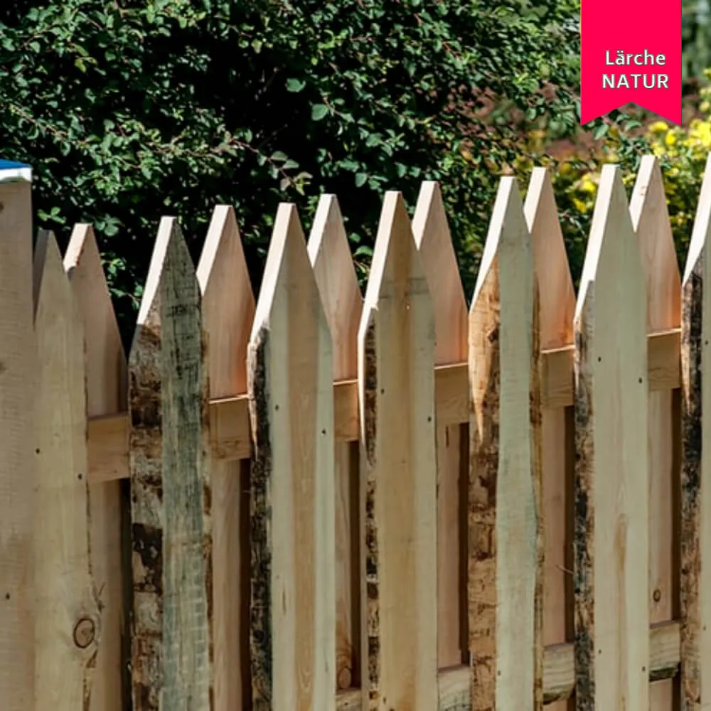 Schwartenzaun Country mit Spitze, Hochgebirgslärche – Bild 3