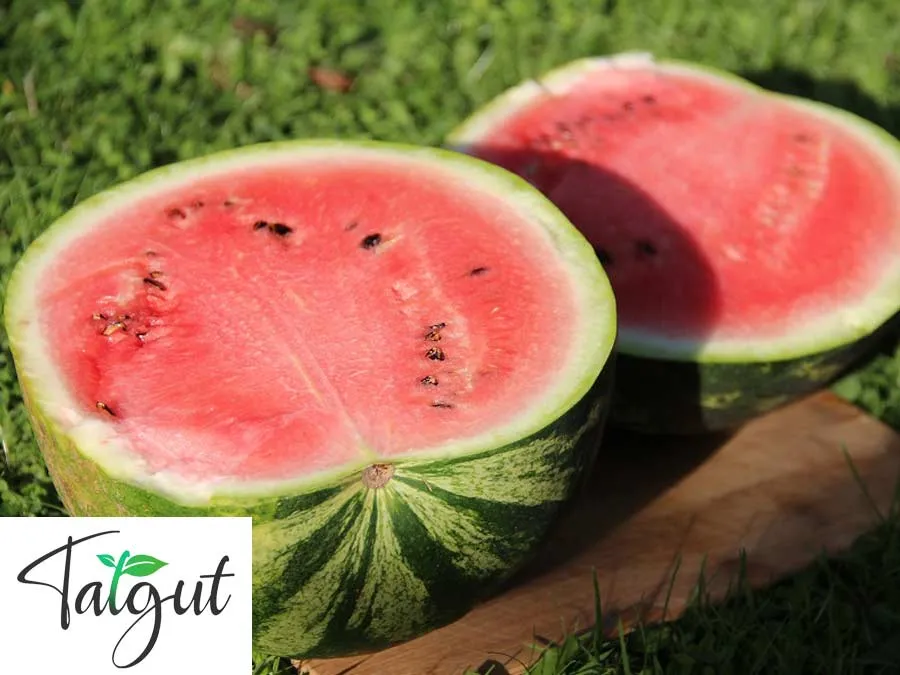 Wassermelone Crimson Sweet. Einzeltüte mit samenfesten Melonensamen