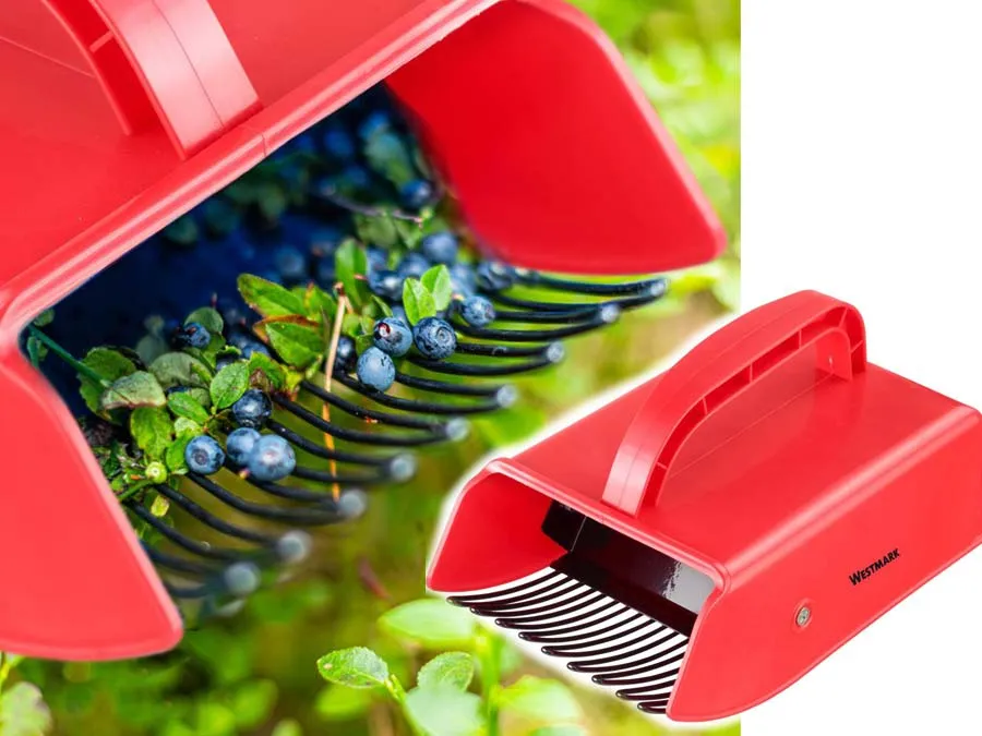 Beerenpflücker / Beerenkamm für die schnelle und schonende Beeren-Ernte