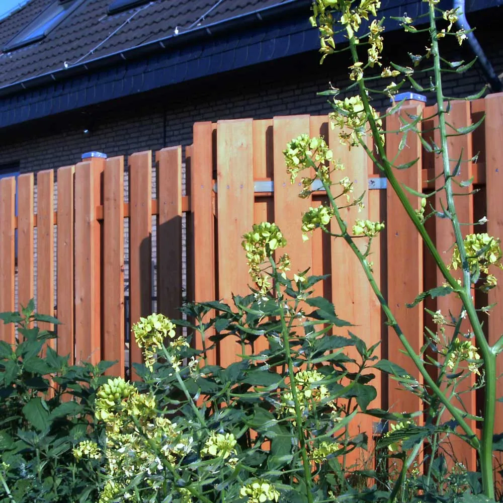 Zaunbrett Grönland geschrägt, europäische Lärche natur – Bild 6