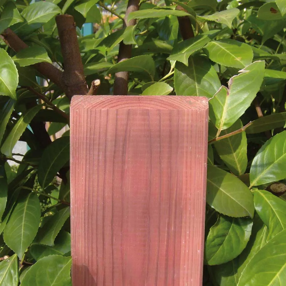 Zaunbrett Grönland geschrägt, europäische Lärche natur