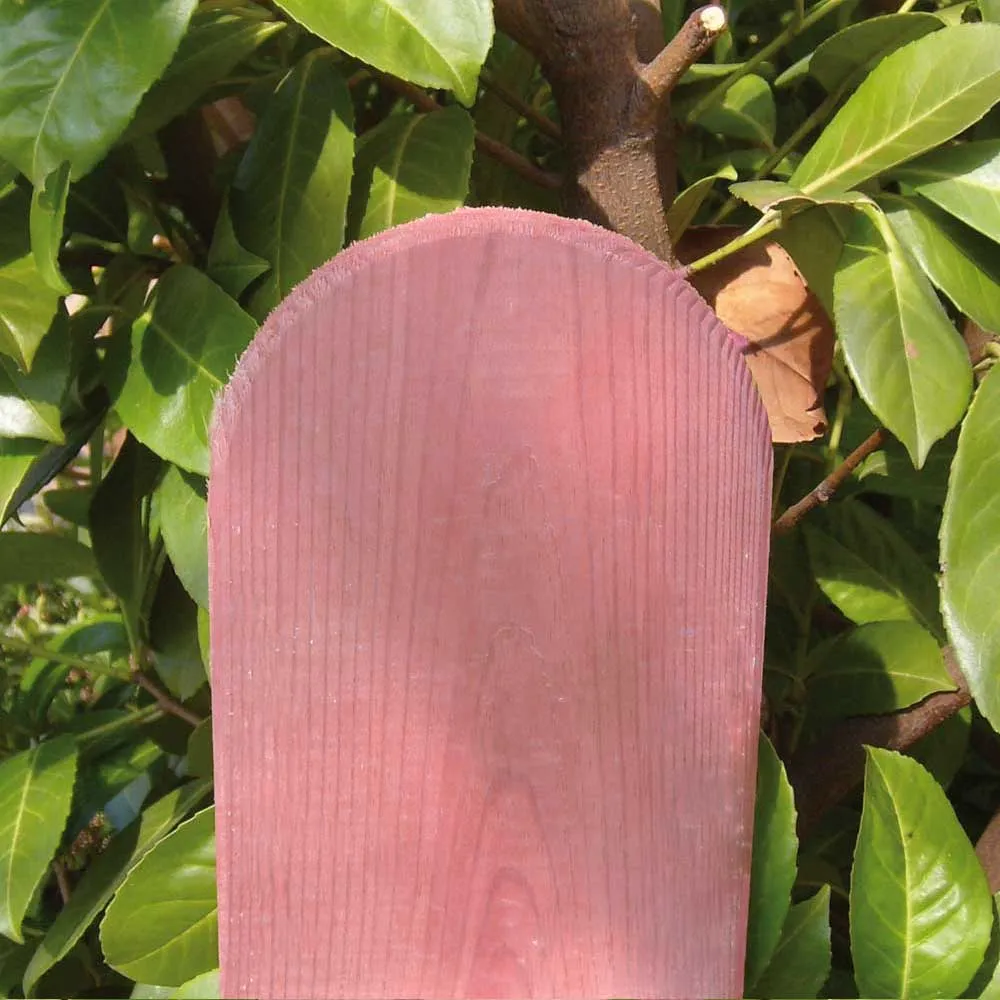 Zaunbrett Lappland gerundet, europäische Lärche natur