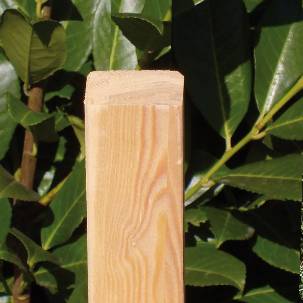 Zaunlatte Classic geschrägt, europäische Lärche natur