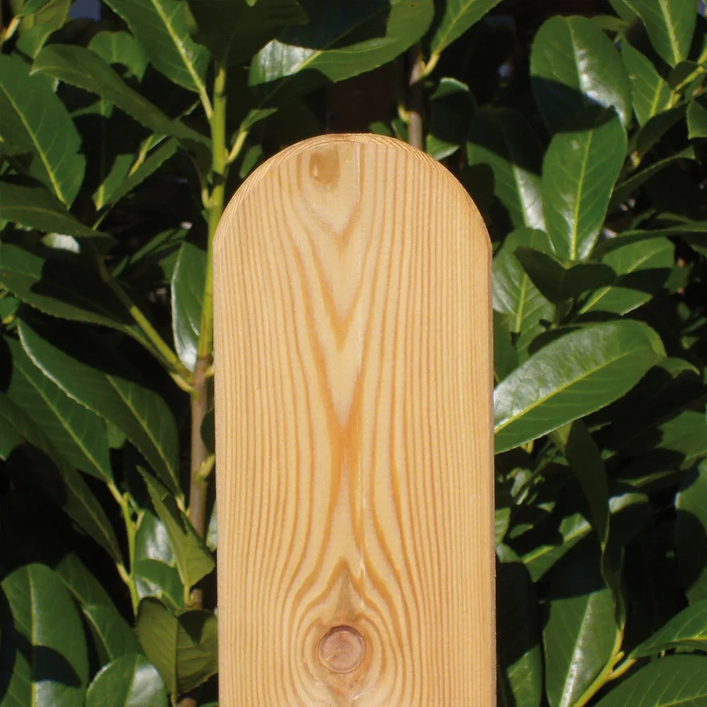 Zaunlatte Nordic gerundet, europäische Lärche natur