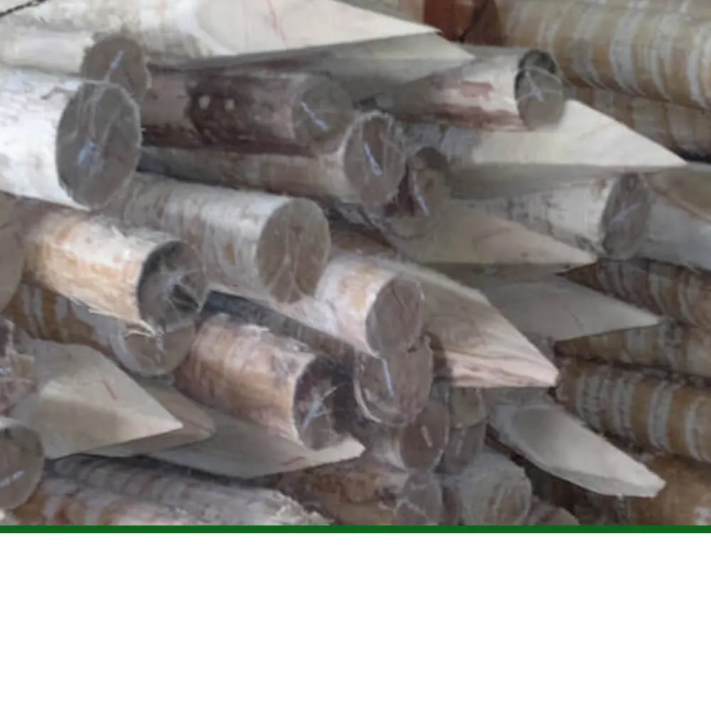 Zaunpfosten aus Robinie, gespitzt & grob entrindet