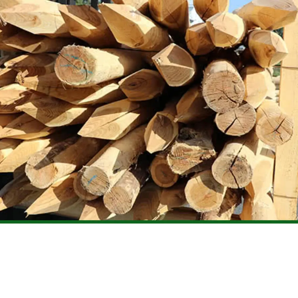 Zaunpfosten aus Robinie, gespitzt & grob entrindet – Bild 2