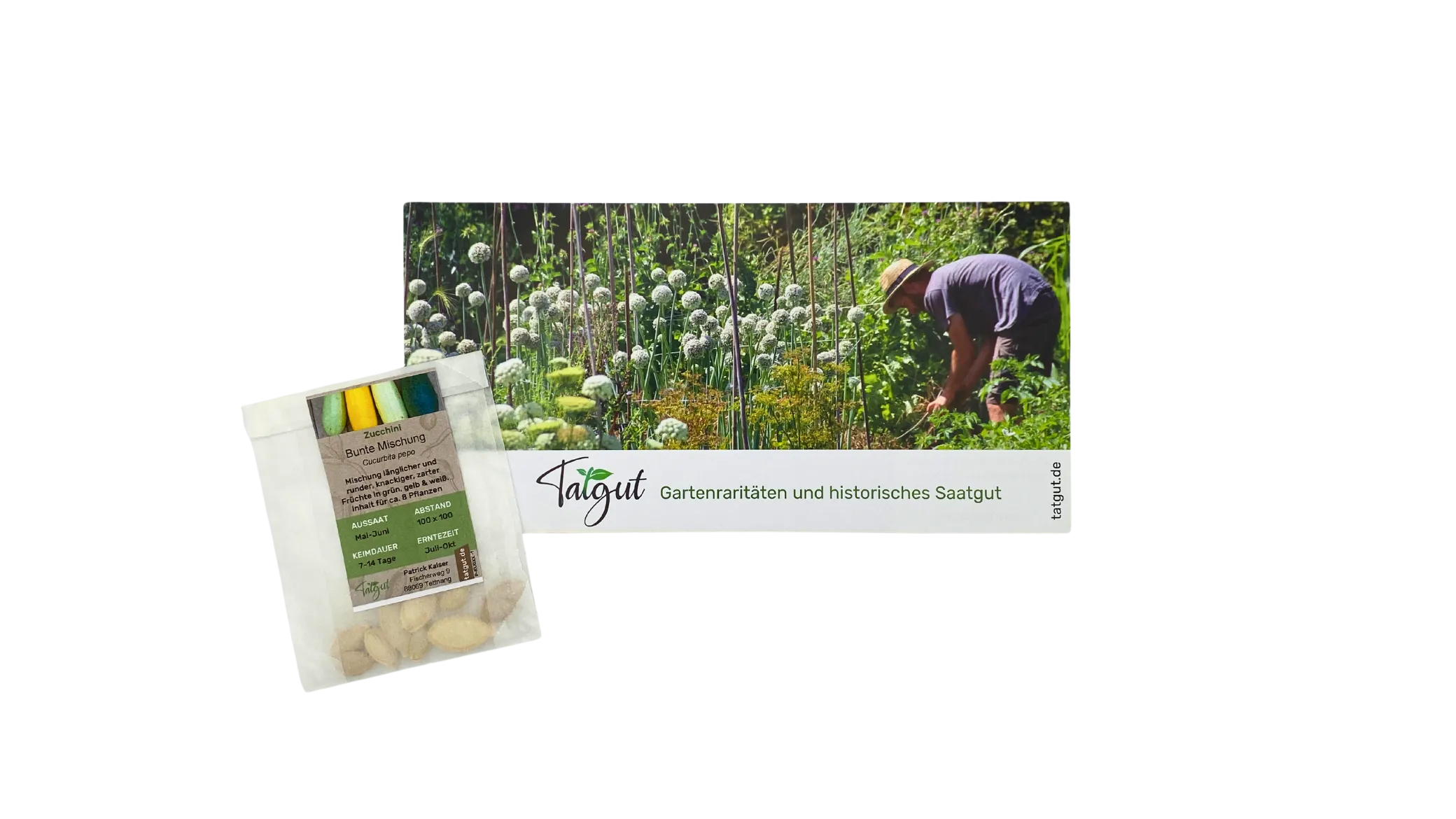 Zucchini Mischung. Einzeltüte mit samenfesten Zucchinisamen – Bild 3