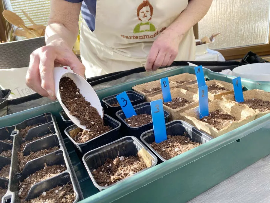 Pflanzschaufel / Pflanzhilfe zum Ansäen, Anhäufeln und Umtopfen – Bild 2