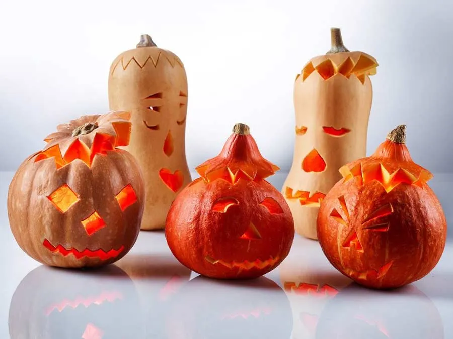 Kürbis Schnitz-Set, 4-teilig mit Schnitzvorlagen – Bild 6