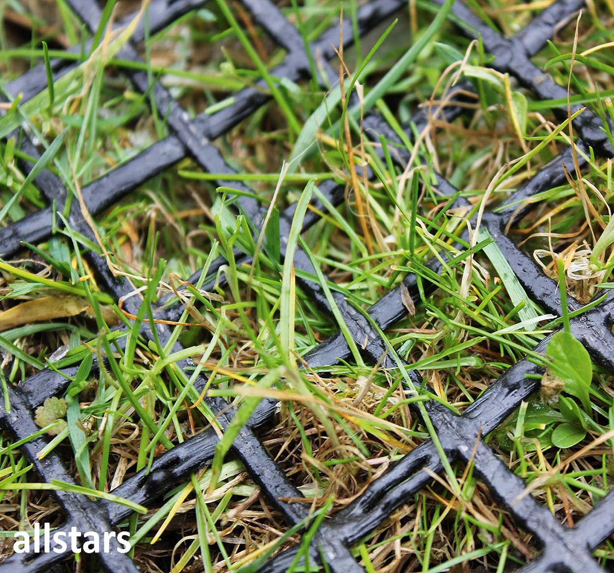 Huck Rasenschutz Gittermatte Fallschutz Rasenschutzmatte je 10 m²